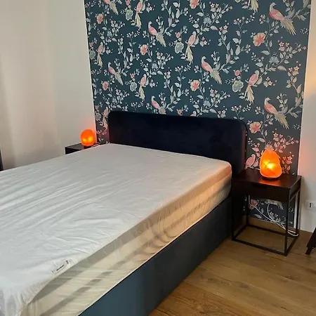 Cosy - Centre-ville Boulogne-sur-Mer